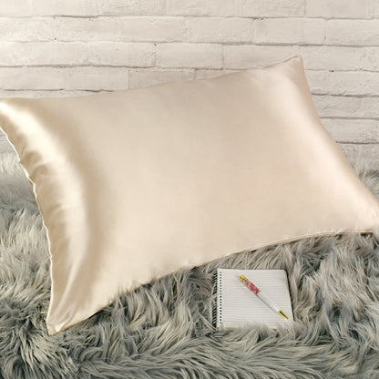 Celestial Silk 25 momme taupe silk pillowcase on faux fur rug with notebook and pretty pen